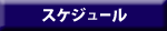 スケジュール